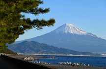 Shimizu private tour with Mount Fuji views and Kunozan Shrine