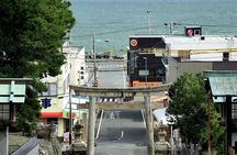 Shimizu private tour with Mount Fuji views and Kunozan Shrine