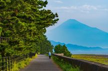 Shimizu private tour with Mount Fuji views and Kunozan Shrine