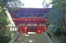 Shimizu private tour with Mount Fuji views and Kunozan Shrine