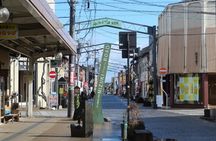 Sakaiminato private excursion with Matsue's castle town
