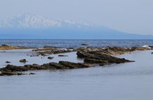 Private Akita and Oga Peninsula shore excursion for cruise guests