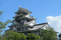 Okayama Castle private tour with Korakuen Garden
