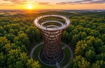 Møns Klint and Forest Tower full-day experience from Copenhagen