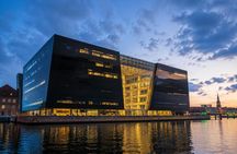 Copenhagen city tour with private driver