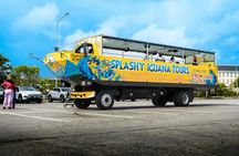 Splashy Iguana amphibious bus tour of Curaçao