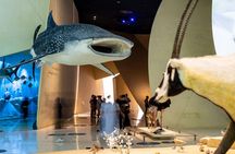 Doha private tour with National Museum visit and lunch