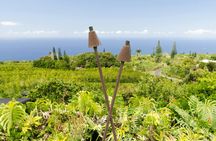 Big Island of Hawaii self-guided driving tour