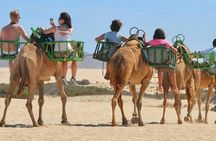 e-Scooter step city sightseeing tour and Maspalomas dunes by camel