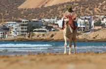 Camel ride in Agadir with pick-up