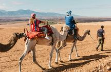 Camel ride in Agadir with barbecue
