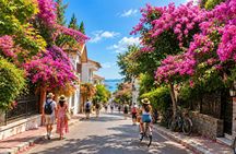 Princes’ Islands guided boat tour with lunch from Istanbul