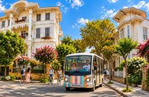 Princes’ Islands guided boat tour with lunch from Istanbul