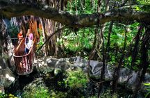 All inclusive admission at Loro Parque for a VIP experience