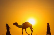Combo quad and camel ride with Barbecue