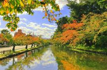 Private Aomori excursion to Hirosaki Castle and Apple Hill