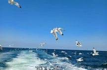 Half-day boat tour along the Riviera Romagnola from Milano Marittima