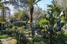 Parco Paternò del Toscano guided tour with optional picnic