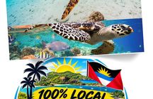 St John's snorkel with sea turtles at Green Island