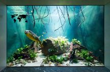 Admission ticket for Artis Royal Zoo and Micropia