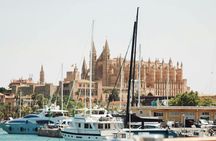 Palma city cruise with iconic sights