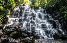 Best of Bali Waterfalls with Tibumana, Tukad Cepung and Tegenungan
