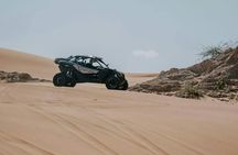 Agadir combo buggy and camel ride