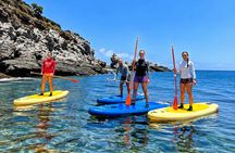 Guided paddleboarding tour in Playa Paraiso