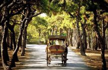 Istanbul to Princes Islands Cruise - Full Day Tour
