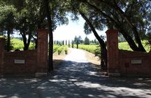 Half-day wine country tour from San Francisco