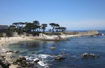 Monterey and Carmel full-day tour from San Francisco