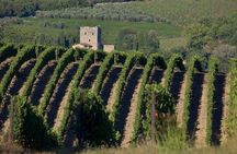 San Gimignano, Siena and Chianti Day Trip