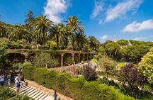 Park Güell skip-the-line ticket and guided tour