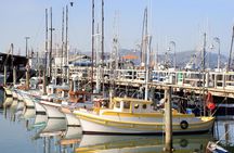 San Francisco city tour and Muir Woods combo