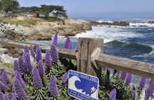 Monterey, Carmel and The 17-Mile Drive tour