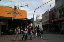 San Jose bites and sights tour