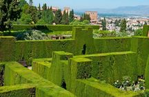 Alhambra morning guided tour with skip-the-line tickets
