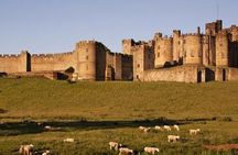 Day Trip to Holy Island, Alnwick Castle and Northumbria from Edinburgh