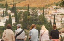 Alhambra guided tour with flamenco show and dinner