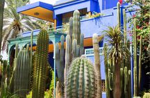 Botanical tour in Marrakech