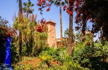 Botanical tour in Marrakech