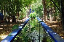 Botanical tour in Marrakech