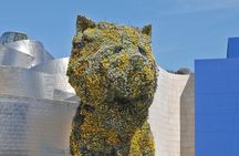 Guggenheim Bilbao Museum private tour