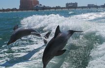 Sea Screamer speedboat ride at Clearwater Beach with lunch