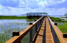 Wild Florida roundtrip transportation only