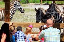 Wild Florida roundtrip transportation only