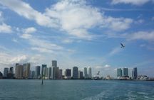 Sport fishing tour in Miami