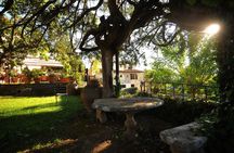 Dinner in the Chianti vineyards