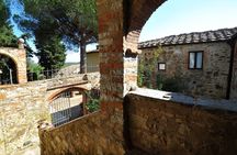 Dinner in the Chianti vineyards