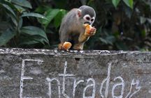 Rainforest jeep adventure tour from Rio de Janeiro